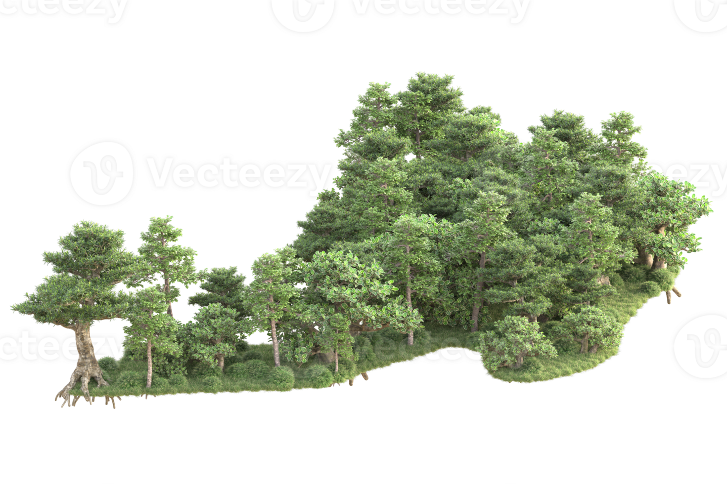 Tropical forest isolated on transparent background. 3d rendering - illustration png