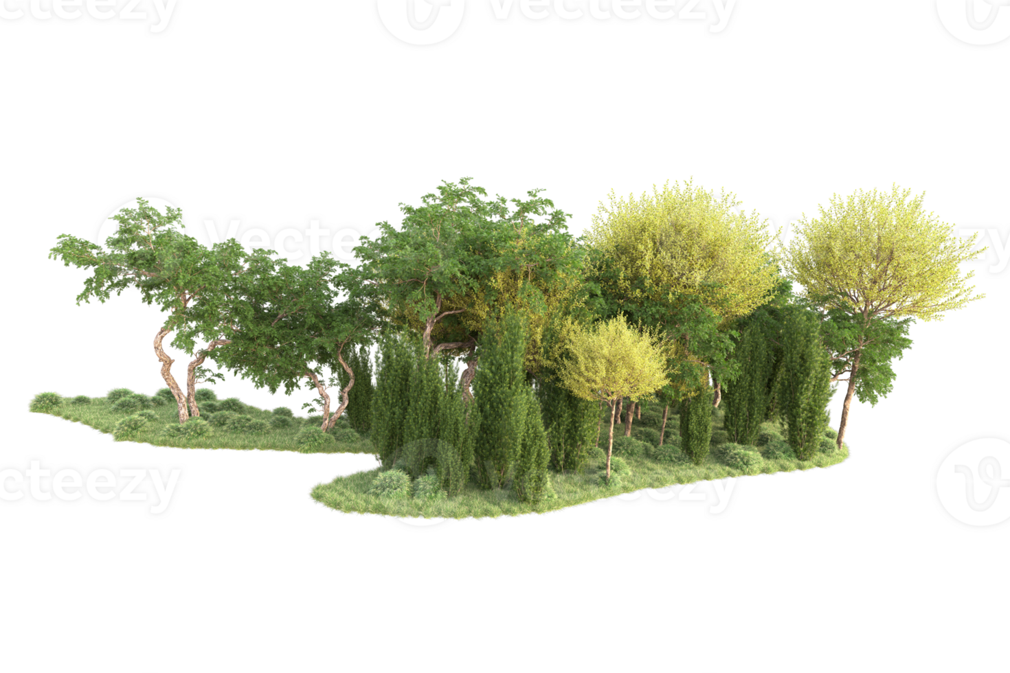 Tropical forest isolated on transparent background. 3d rendering - illustration png