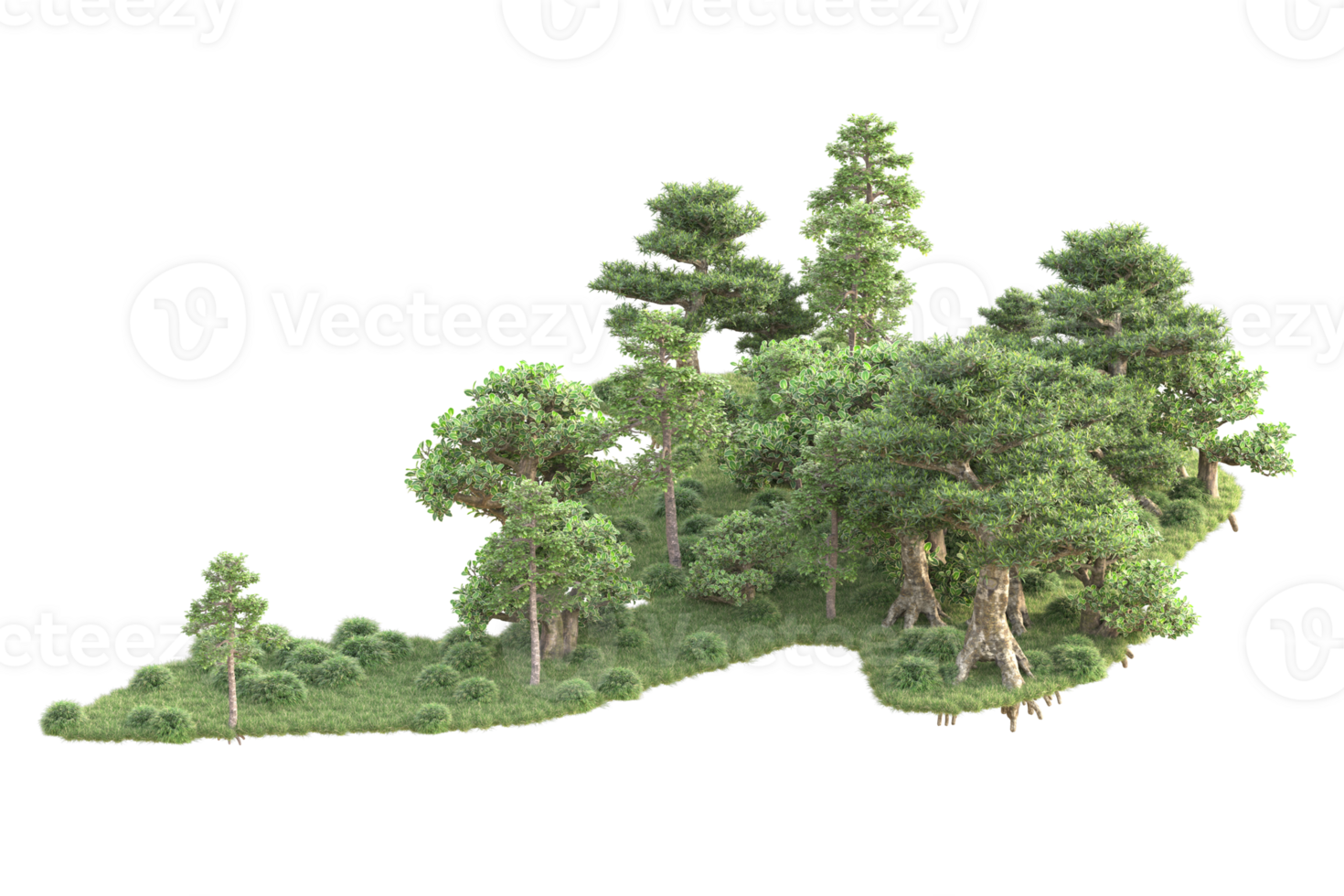 Tropical forest isolated on transparent background. 3d rendering - illustration png