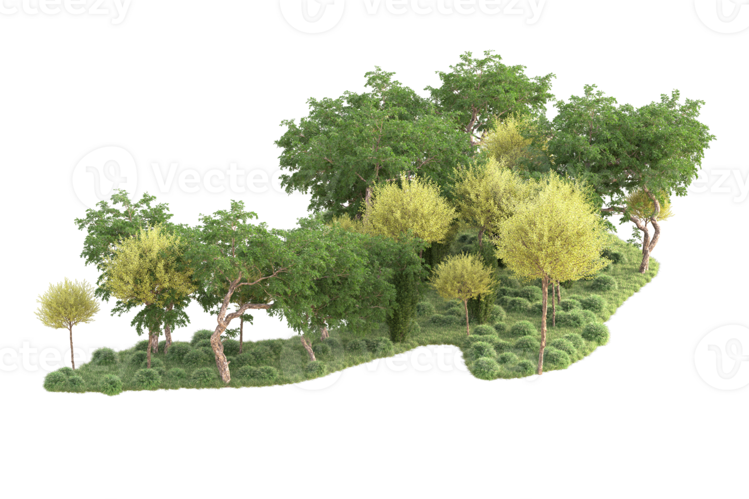Tropical forest isolated on transparent background. 3d rendering - illustration png