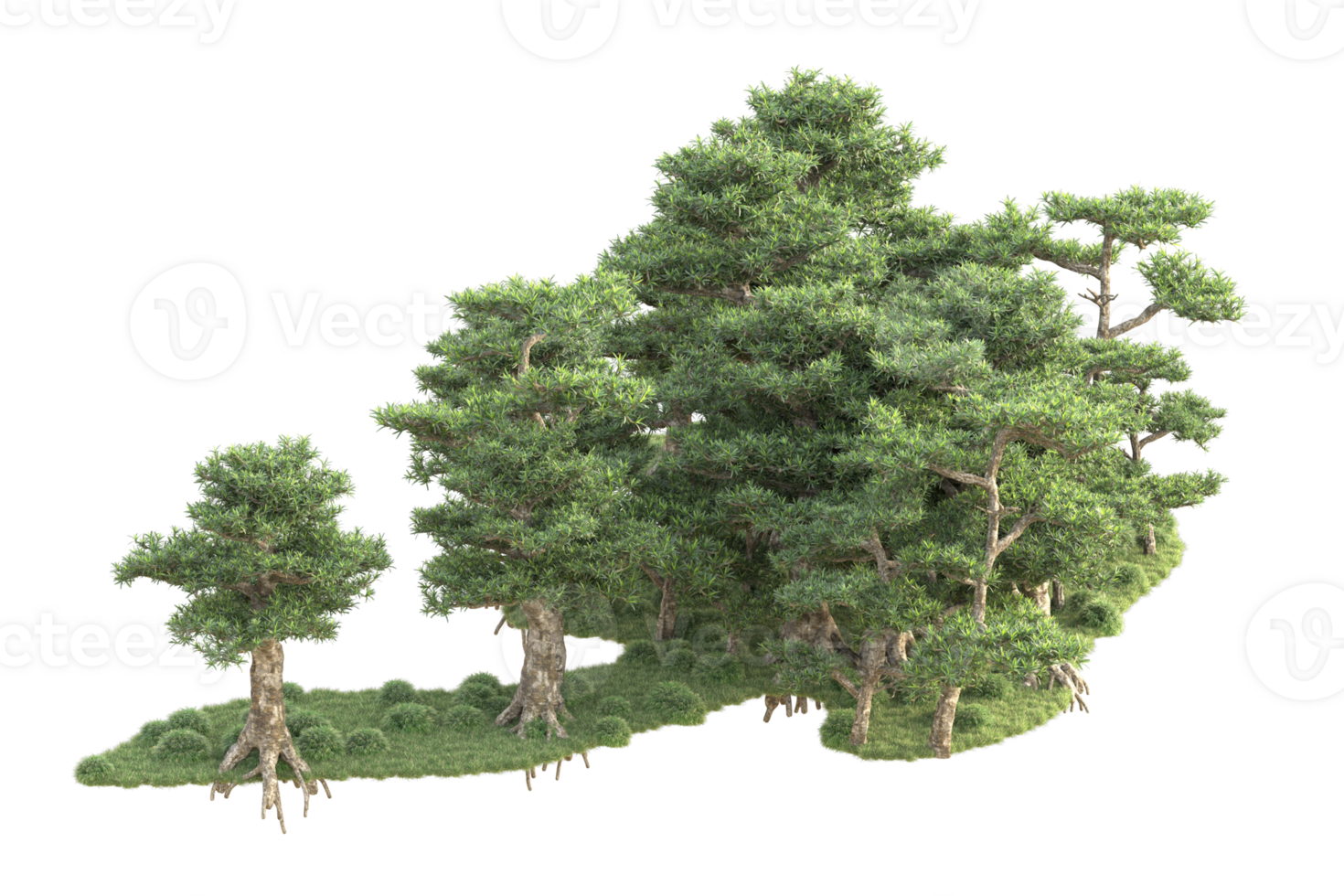 Tropical forest isolated on transparent background. 3d rendering - illustration png