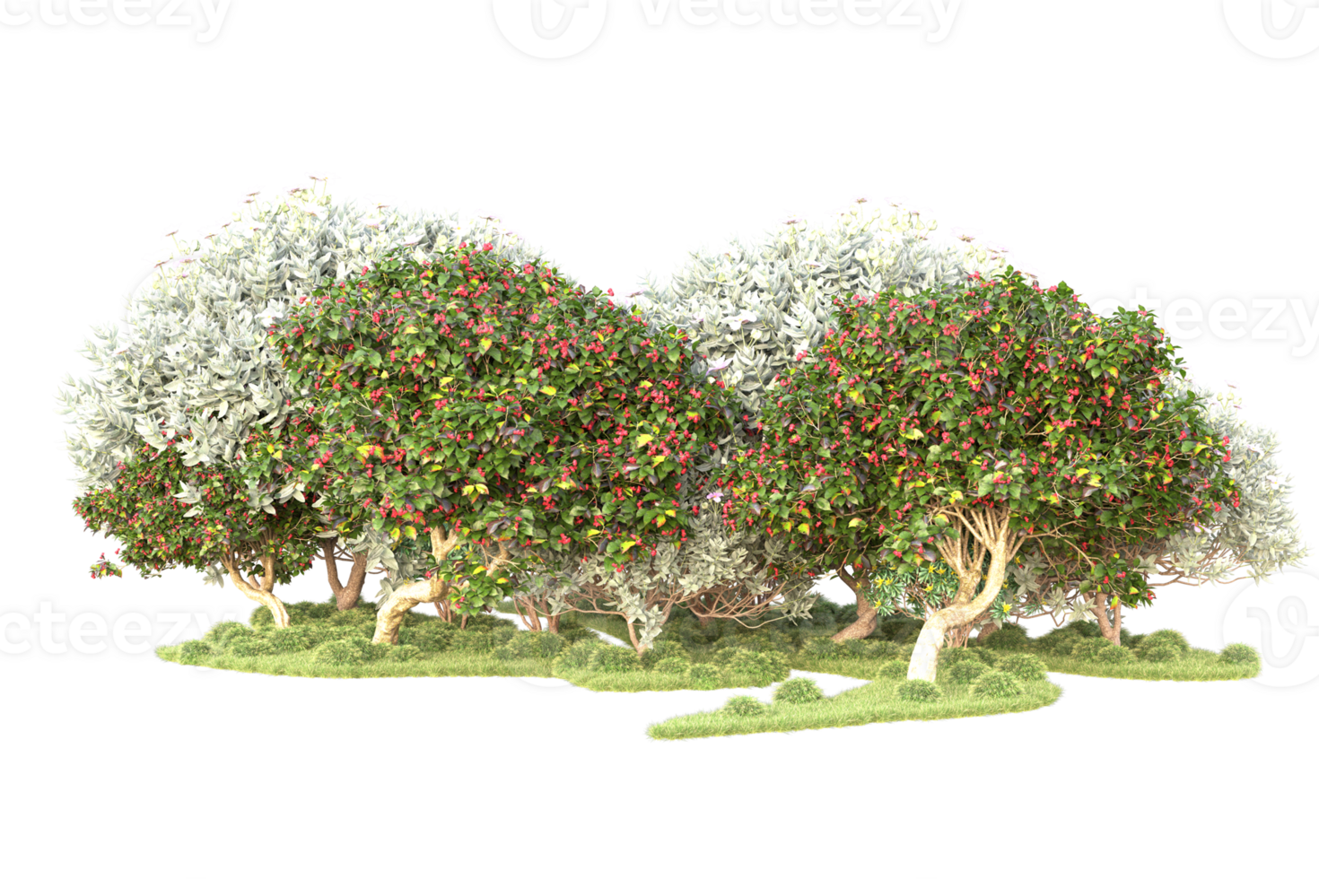 Tropical forest isolated on transparent background. 3d rendering - illustration png
