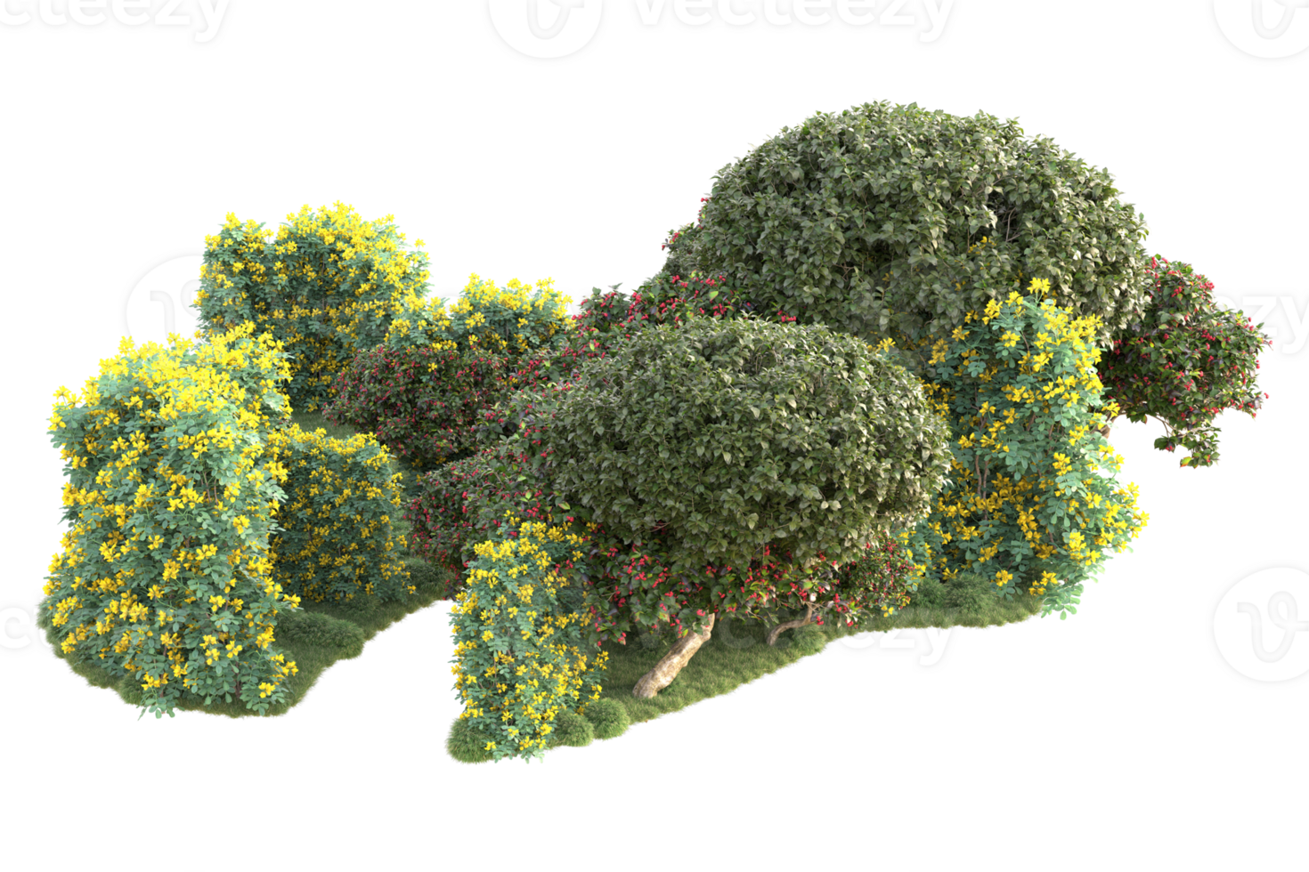 Tropical forest isolated on transparent background. 3d rendering - illustration png