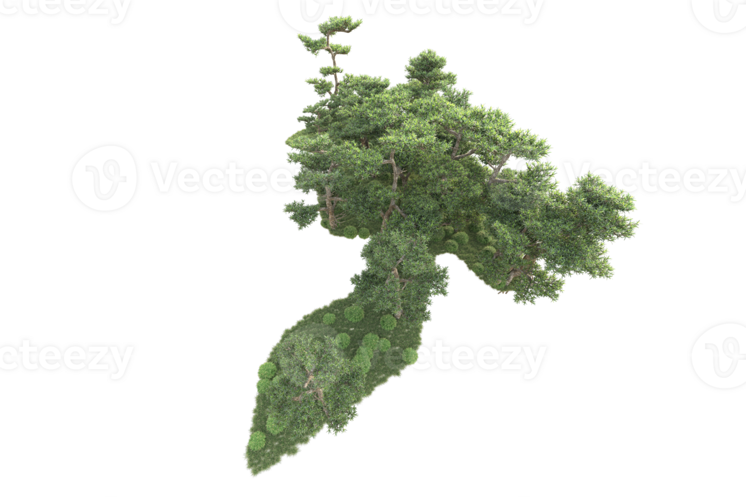 Tropical forest isolated on transparent background. 3d rendering - illustration png