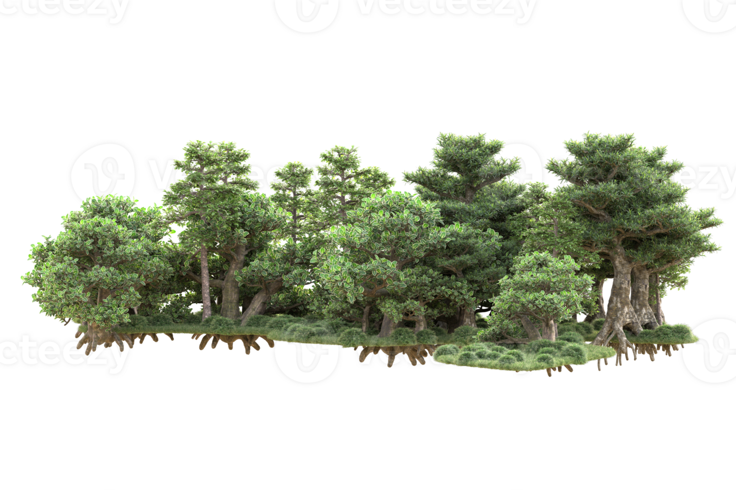 Tropical forest isolated on transparent background. 3d rendering - illustration png