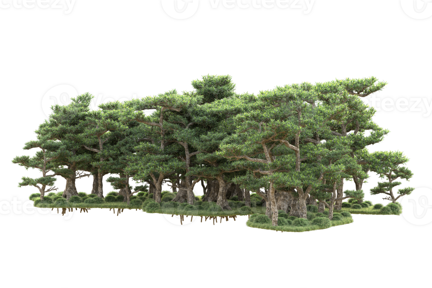 Tropical forest isolated on transparent background. 3d rendering - illustration png
