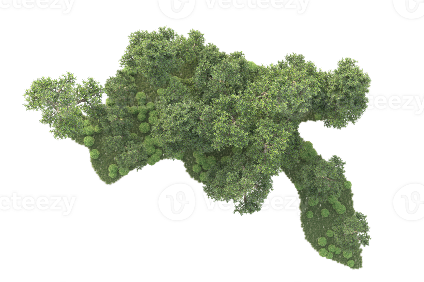 Tropical forest isolated on transparent background. 3d rendering - illustration png