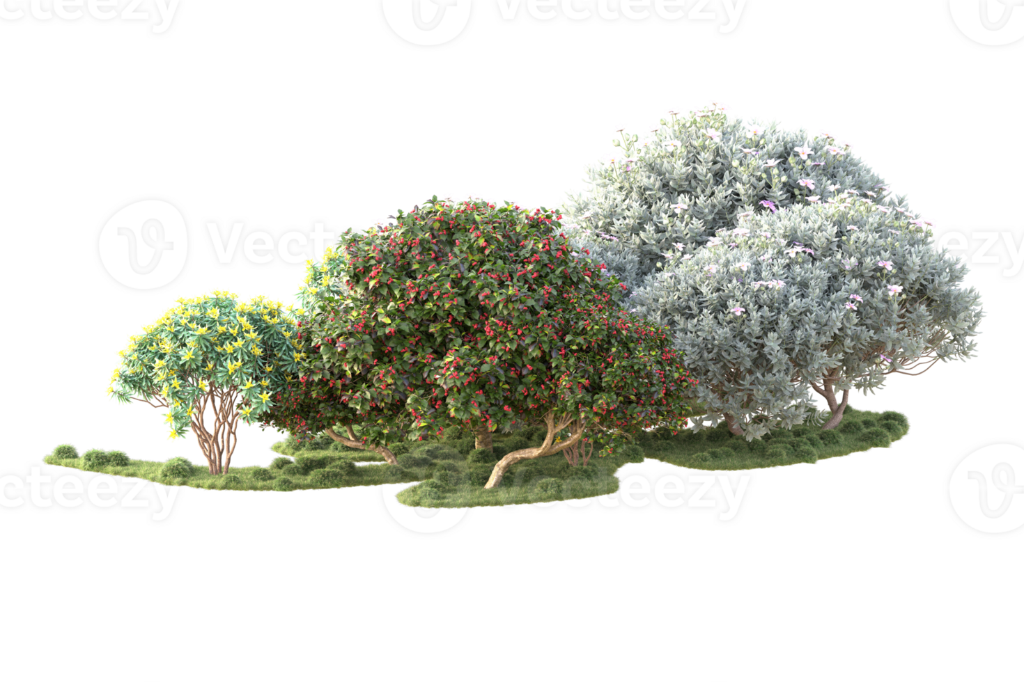 Tropical forest isolated on transparent background. 3d rendering - illustration png
