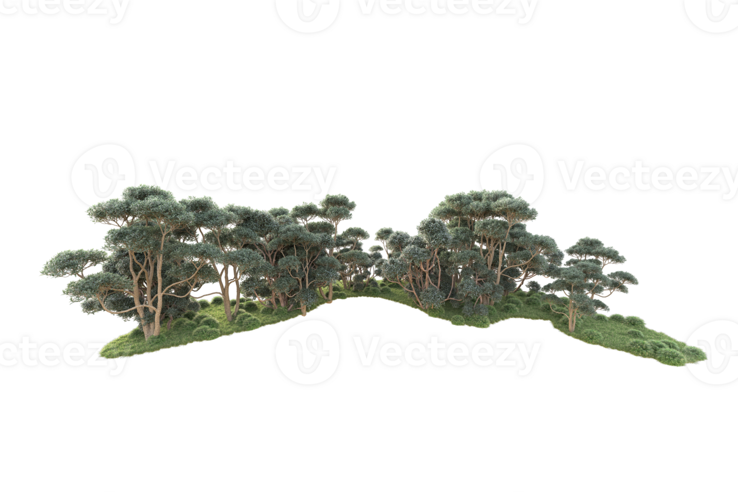 Tropical forest isolated on transparent background. 3d rendering - illustration png