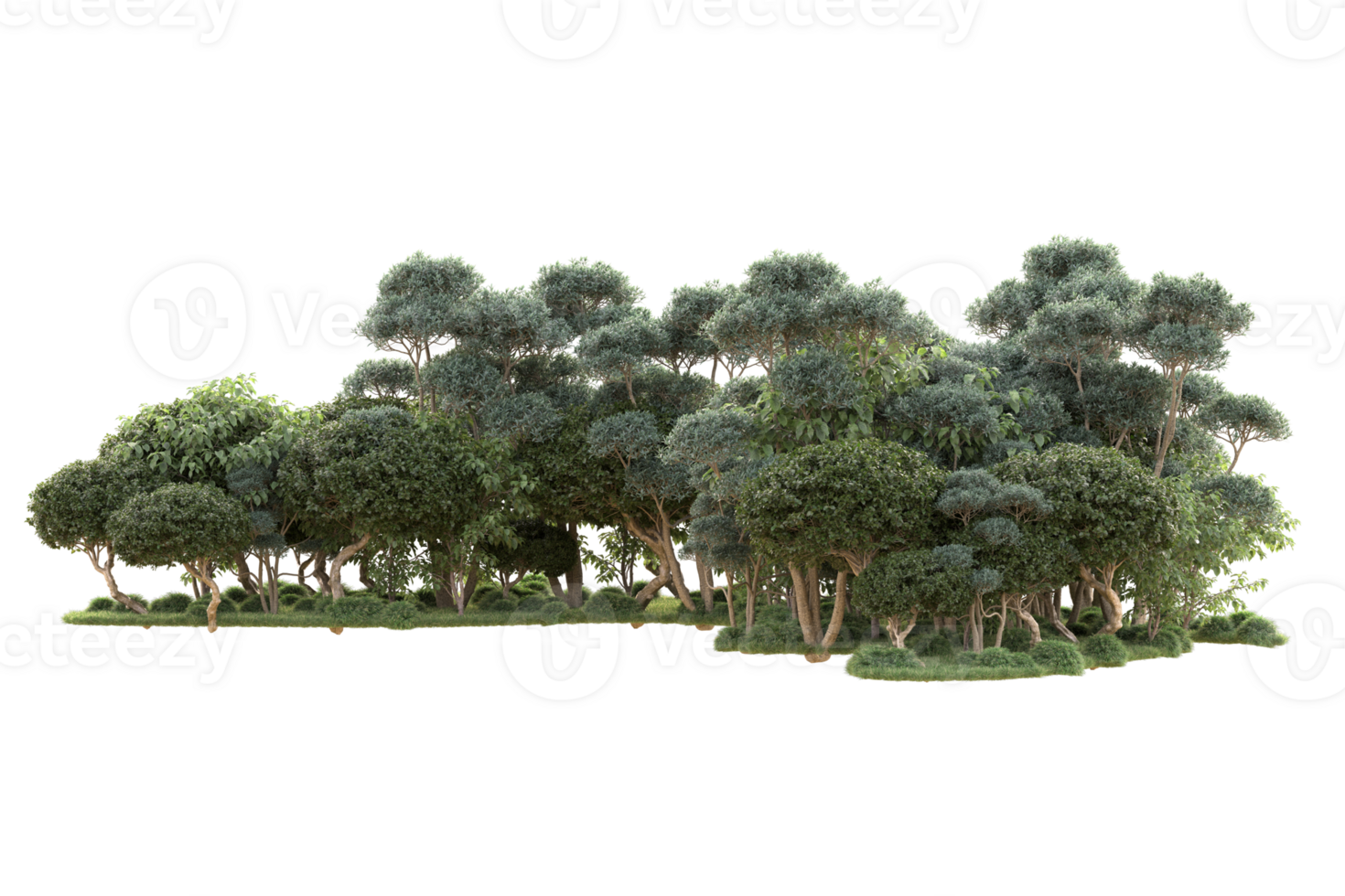 Tropical forest isolated on transparent background. 3d rendering - illustration png