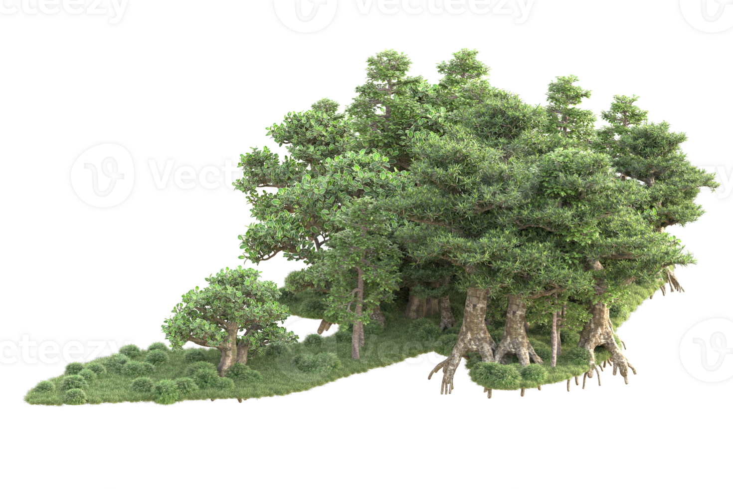 Tropical forest isolated on transparent background. 3d rendering - illustration png