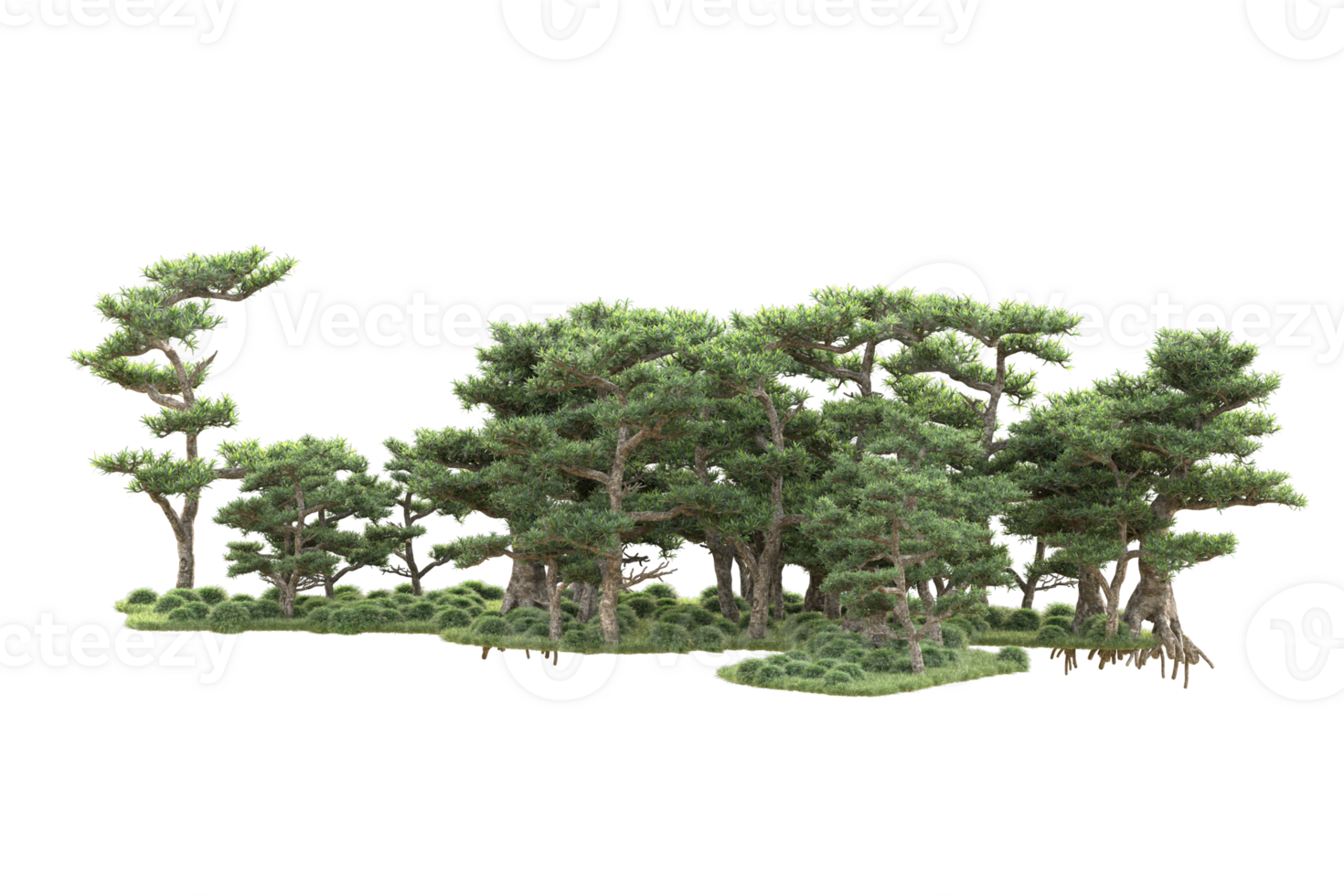 Tropical forest isolated on transparent background. 3d rendering - illustration png