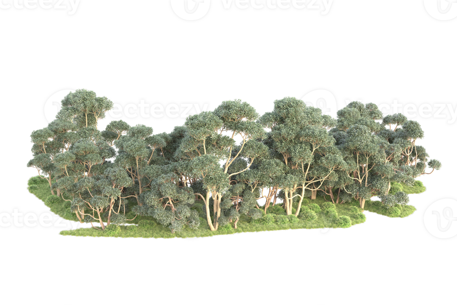 Tropical forest isolated on transparent background. 3d rendering - illustration png