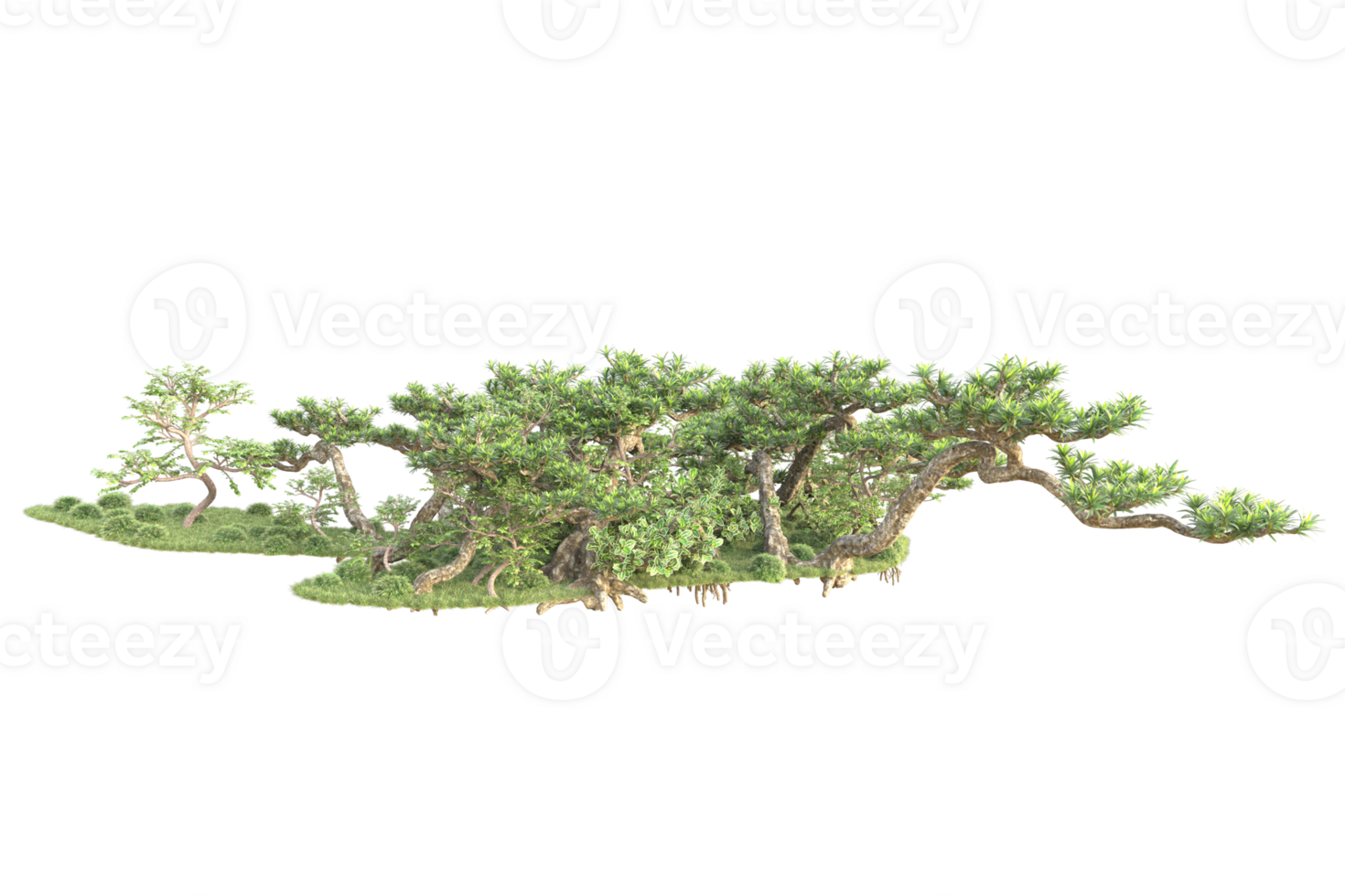 Tropical forest isolated on transparent background. 3d rendering - illustration png