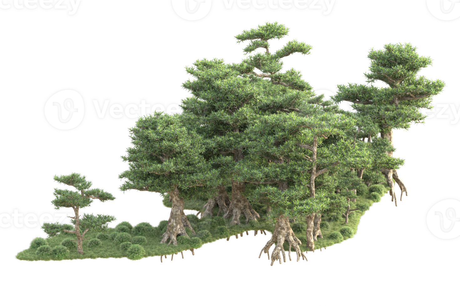 Tropical forest isolated on transparent background. 3d rendering - illustration png