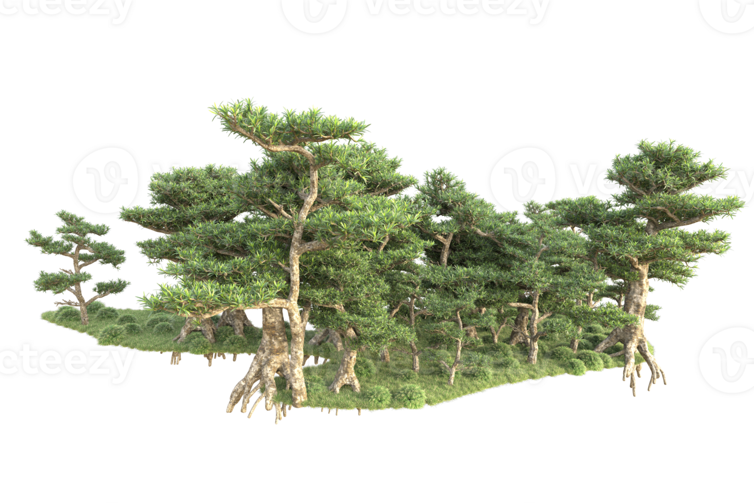 Tropical forest isolated on transparent background. 3d rendering - illustration png