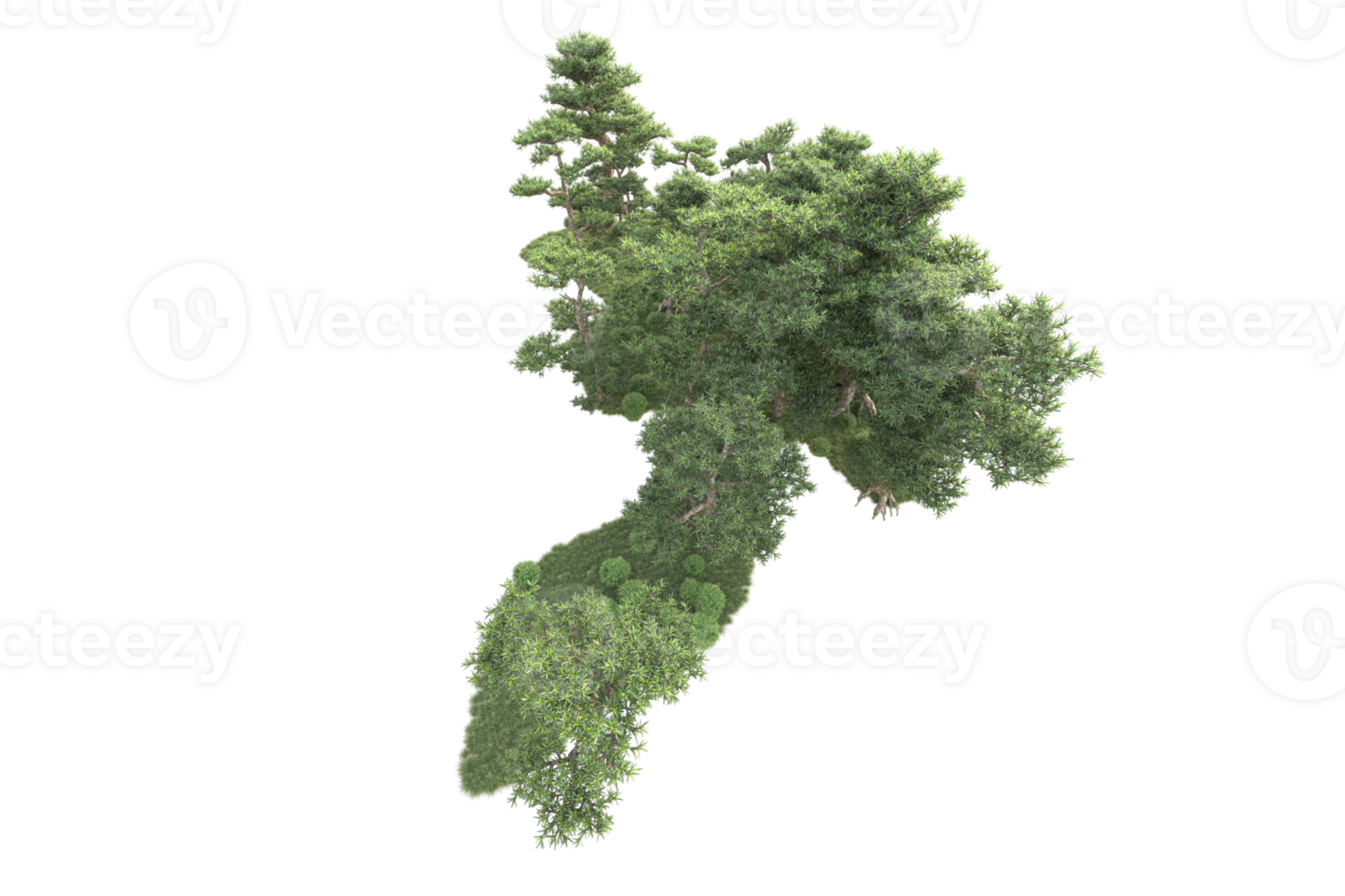 Tropical forest isolated on transparent background. 3d rendering - illustration png