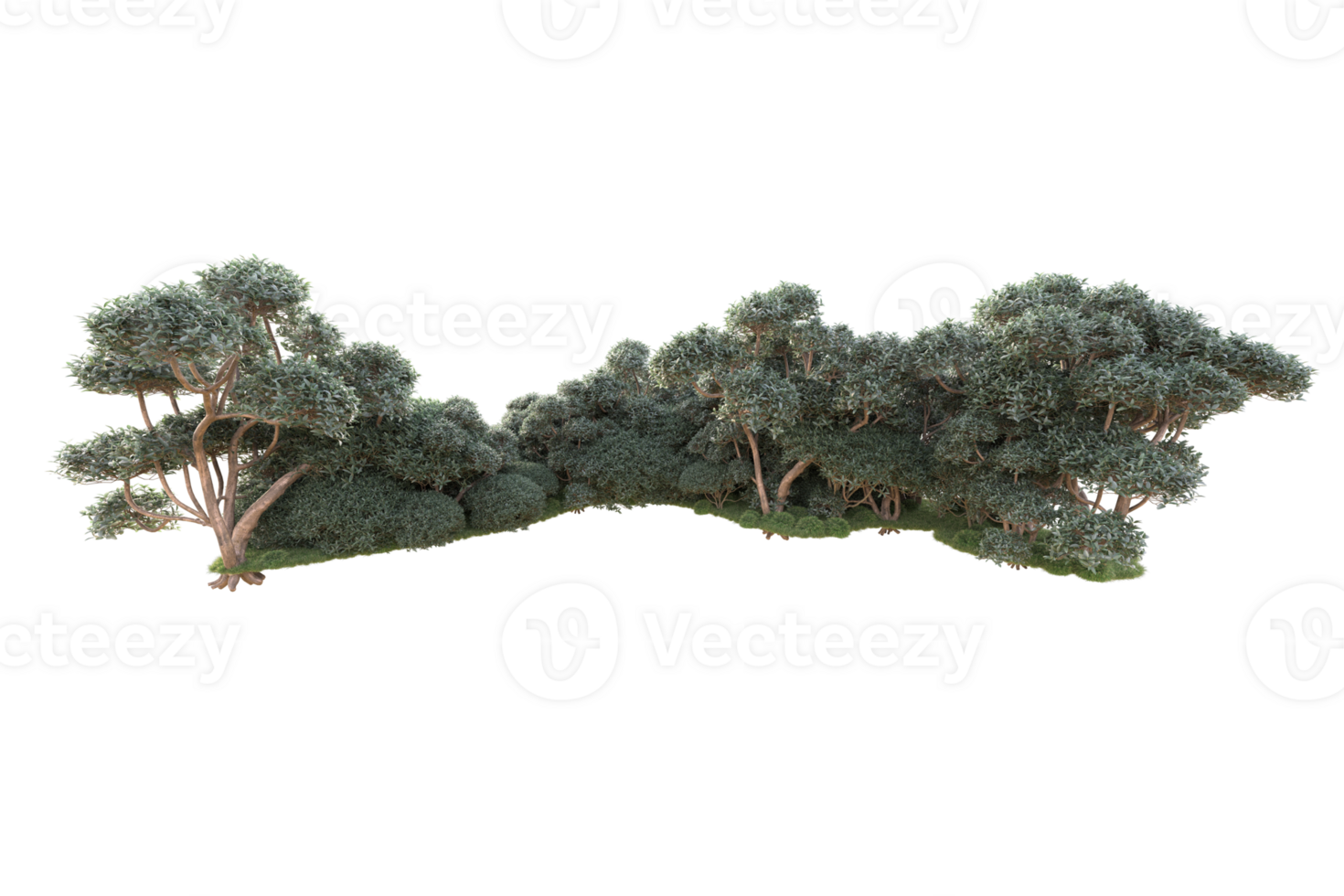 Tropical forest isolated on transparent background. 3d rendering - illustration png