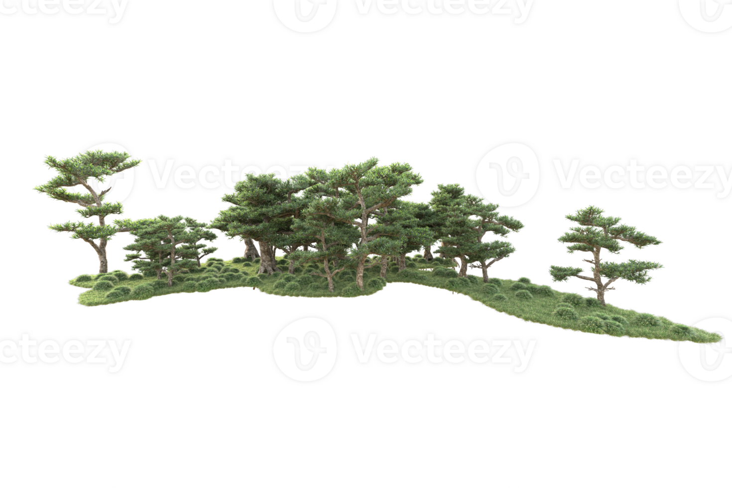 Tropical forest isolated on transparent background. 3d rendering - illustration png