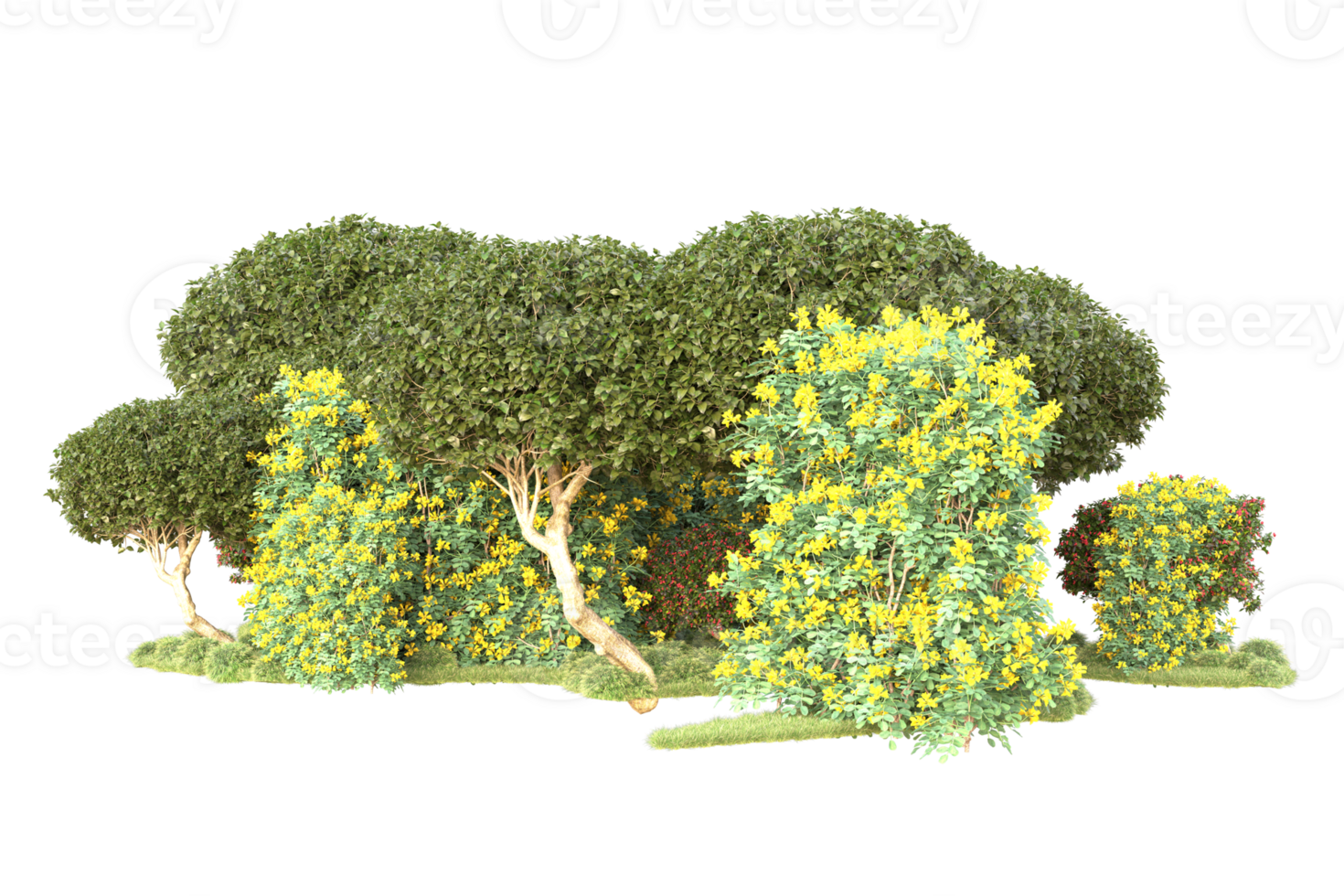 Tropical forest isolated on transparent background. 3d rendering - illustration png