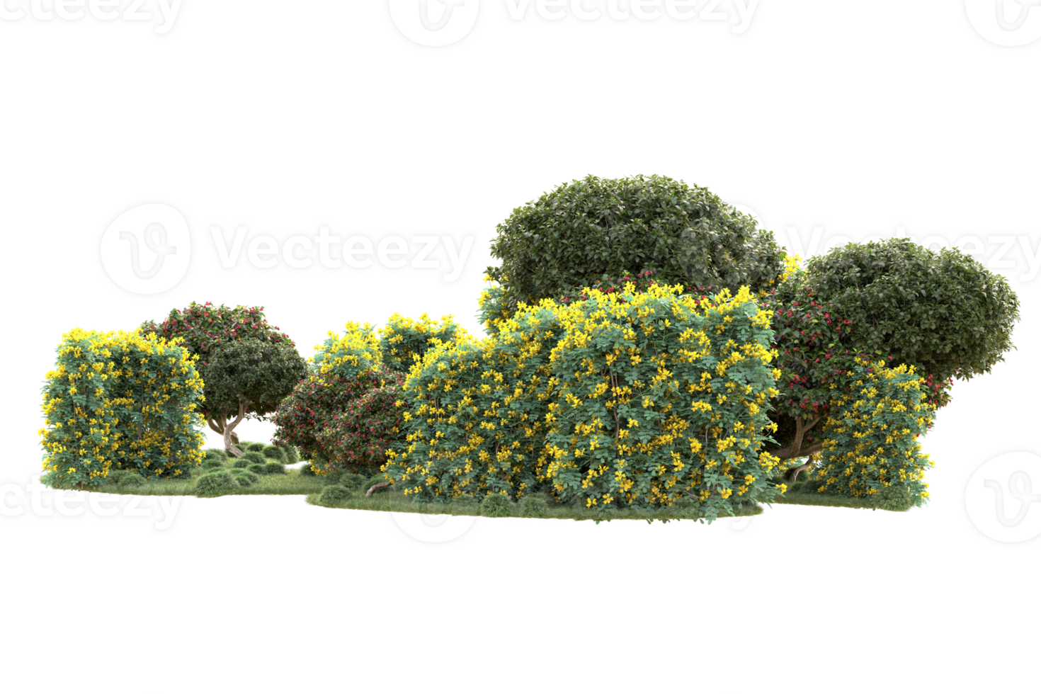 Tropical forest isolated on transparent background. 3d rendering - illustration png