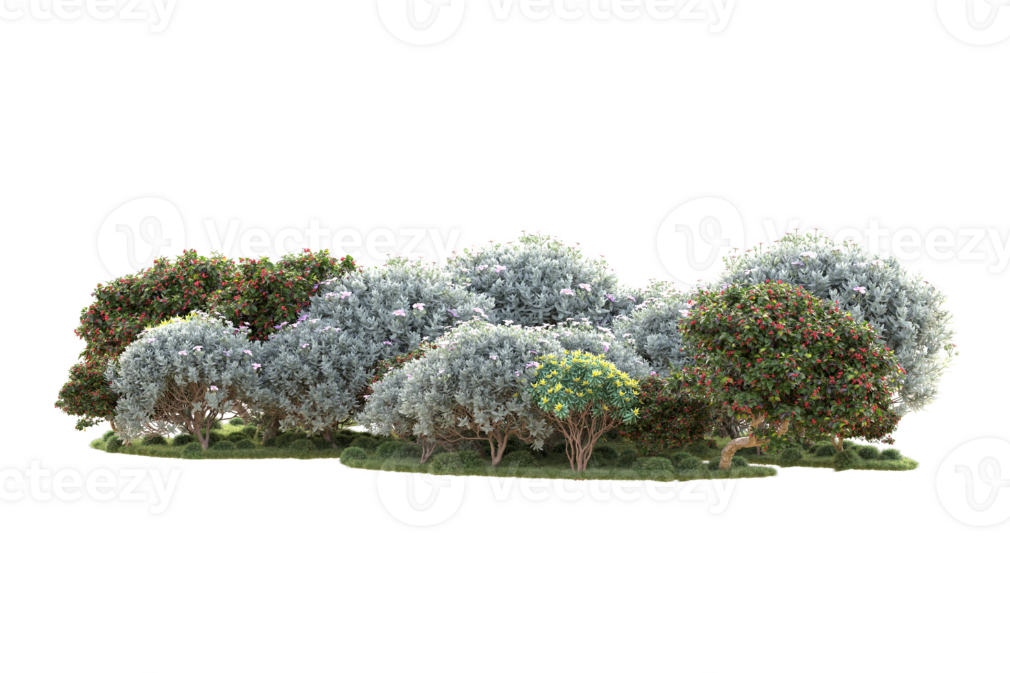 Tropical forest isolated on transparent background. 3d rendering - illustration png