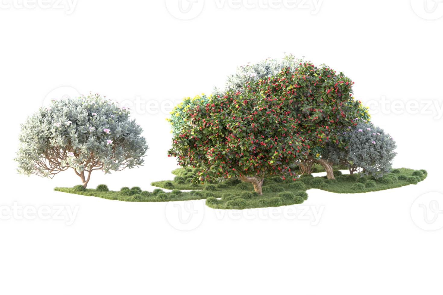 Tropical forest isolated on transparent background. 3d rendering - illustration png