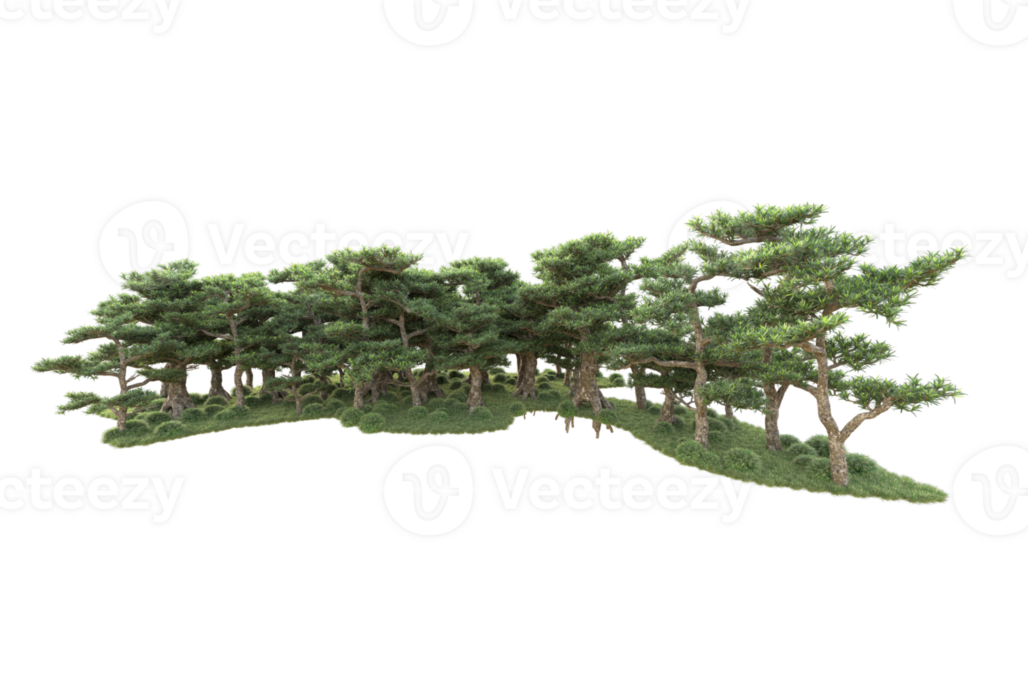 Tropical forest isolated on transparent background. 3d rendering - illustration png