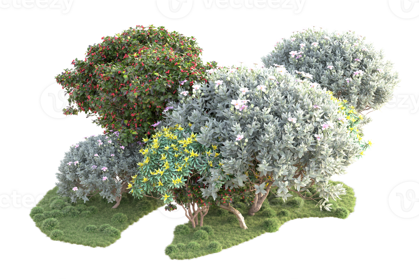 Tropical forest isolated on transparent background. 3d rendering - illustration png