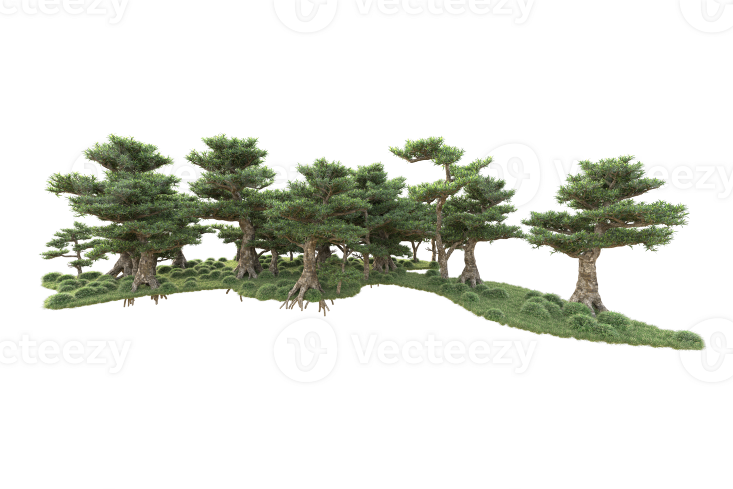 Tropical forest isolated on transparent background. 3d rendering - illustration png