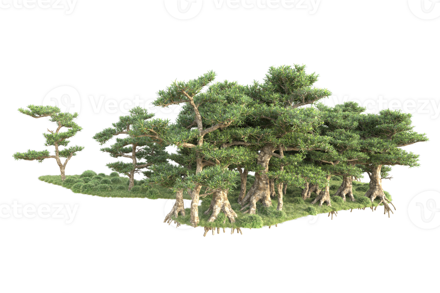 Tropical forest isolated on transparent background. 3d rendering - illustration png
