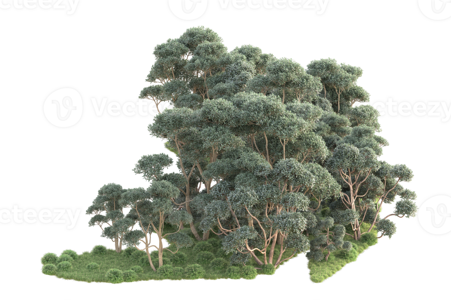 Tropical forest isolated on transparent background. 3d rendering - illustration png