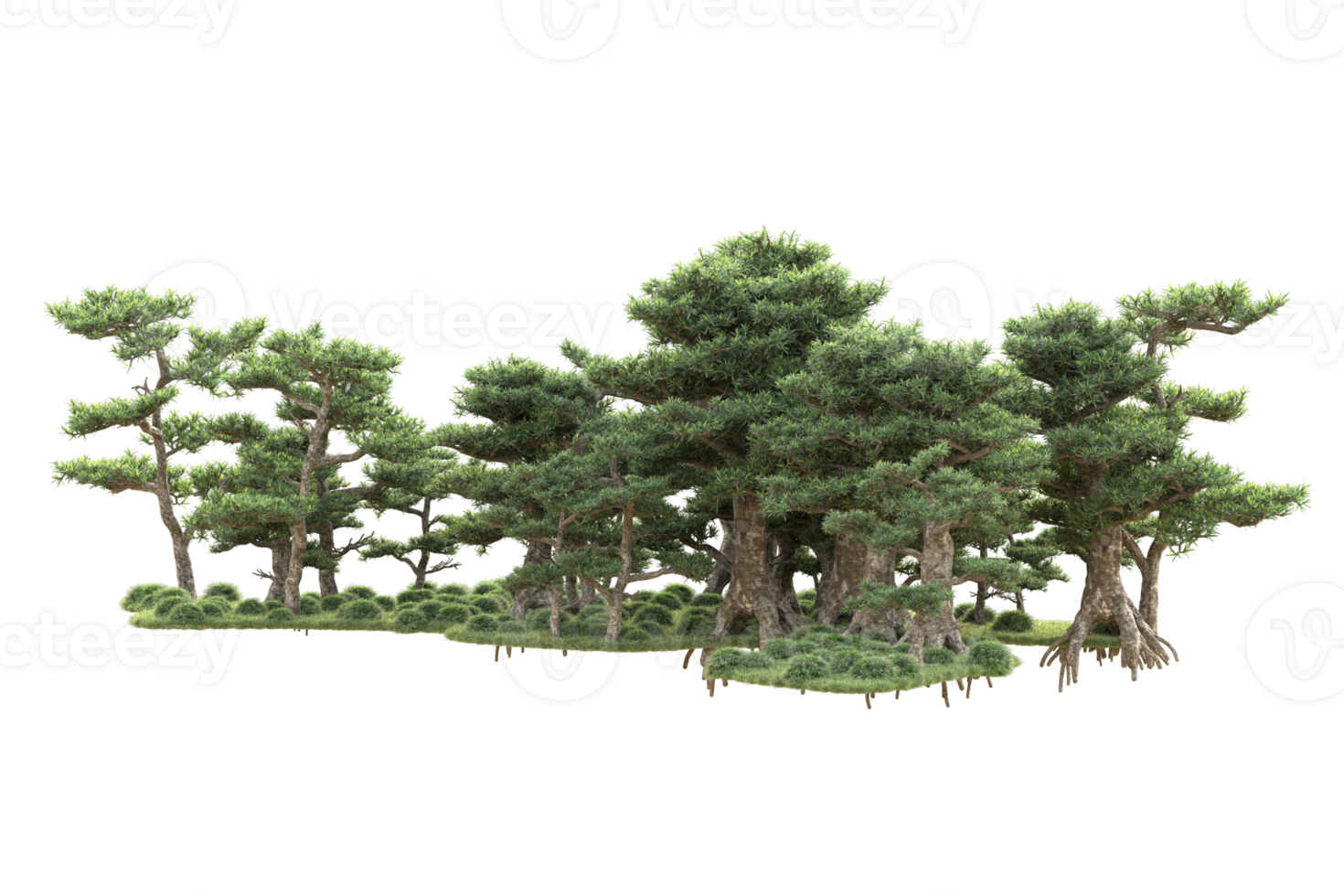 Tropical forest isolated on transparent background. 3d rendering - illustration png