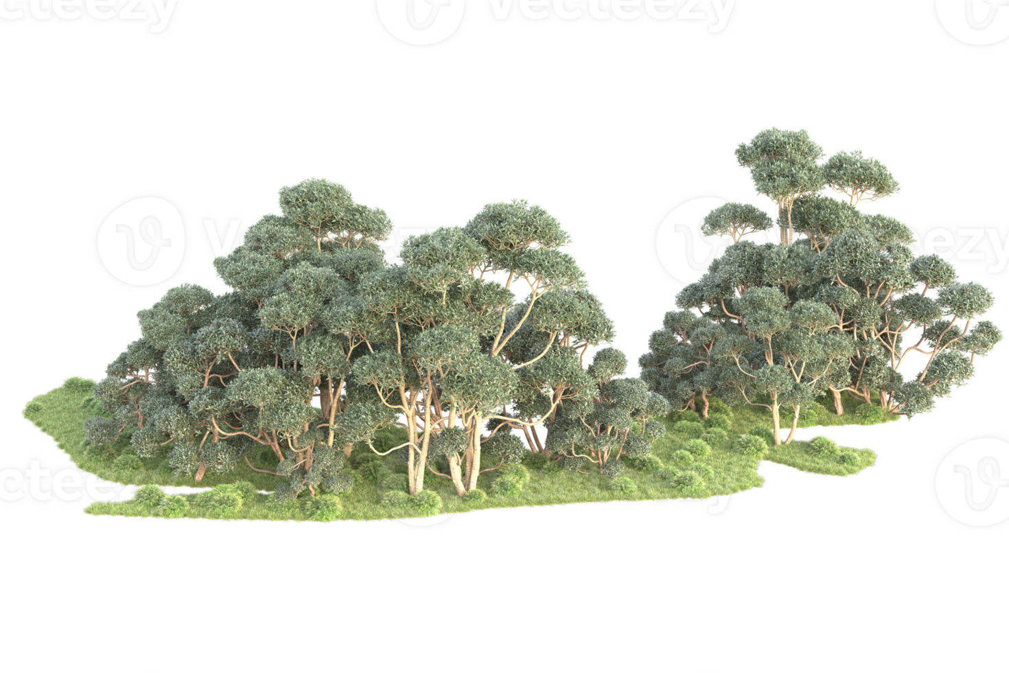 Tropical forest isolated on transparent background. 3d rendering - illustration png