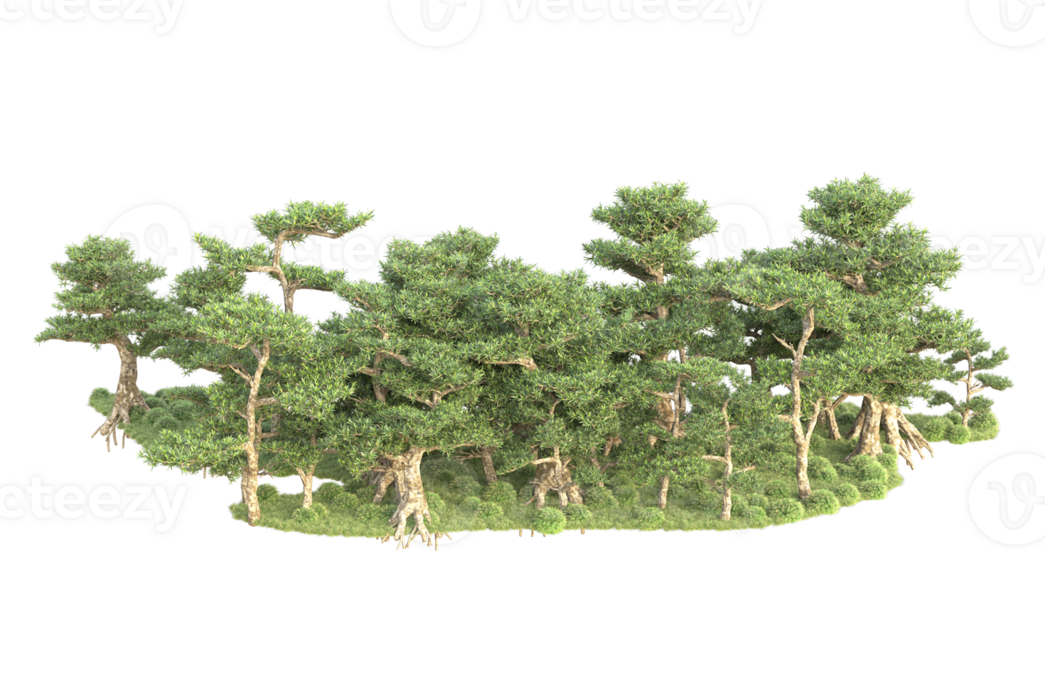 Tropical forest isolated on transparent background. 3d rendering - illustration png