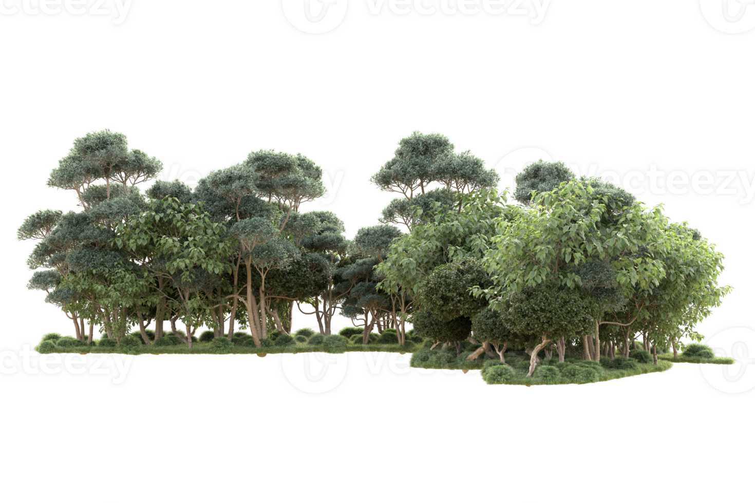 Tropical forest isolated on transparent background. 3d rendering - illustration png