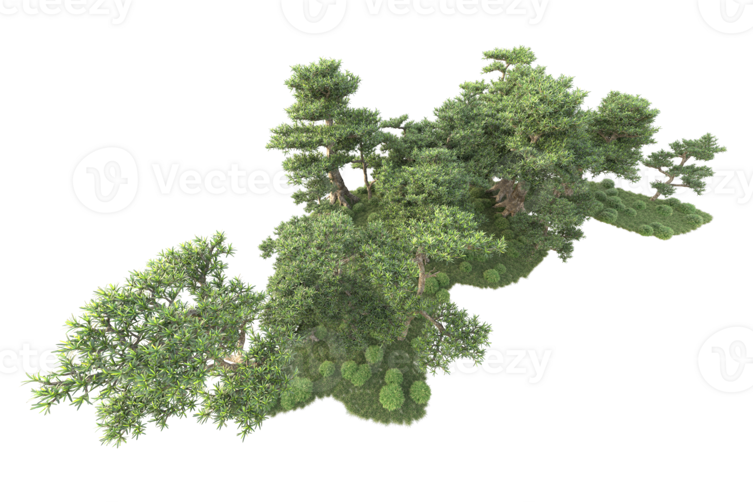 Tropical forest isolated on transparent background. 3d rendering - illustration png