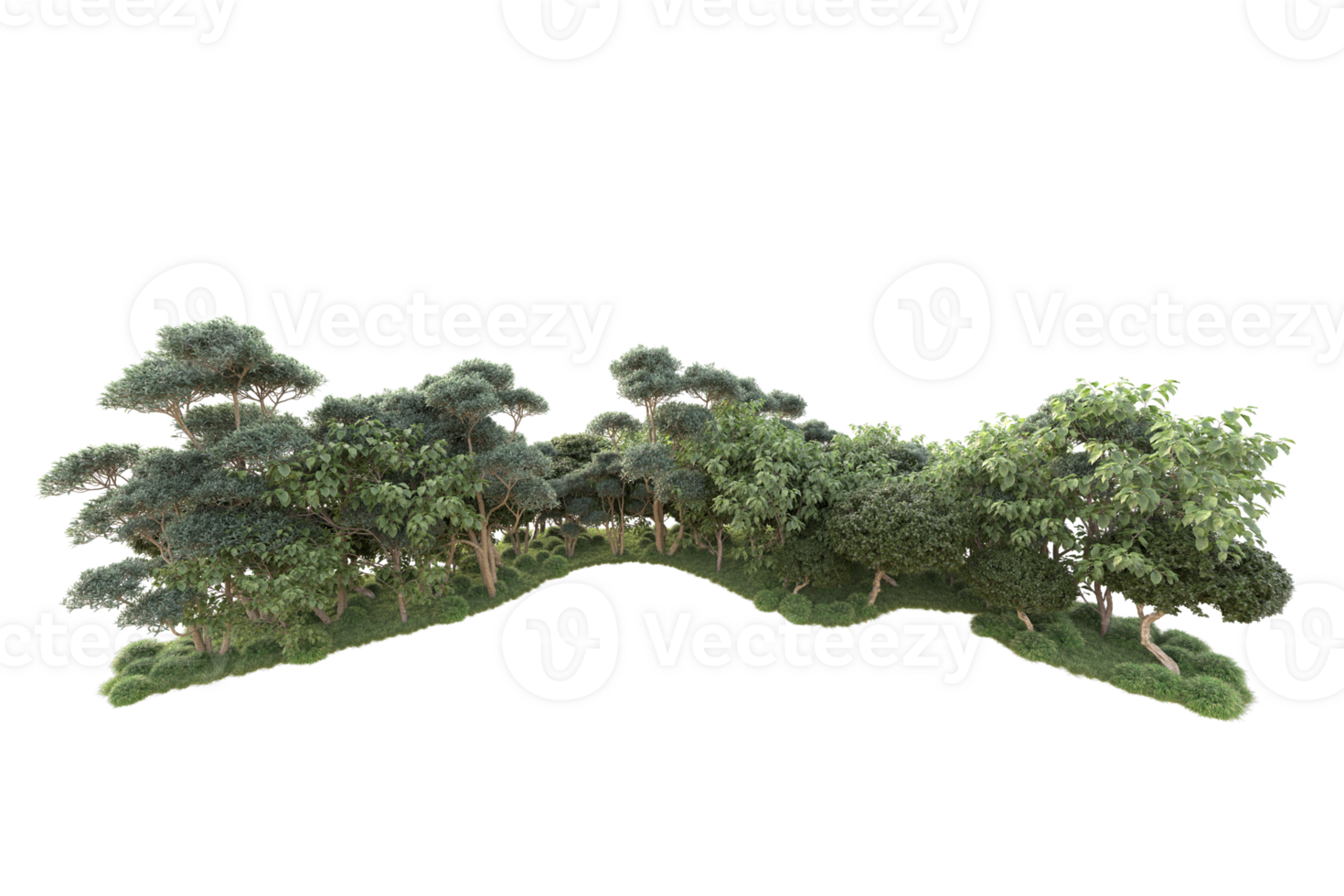 Tropical forest isolated on transparent background. 3d rendering - illustration png