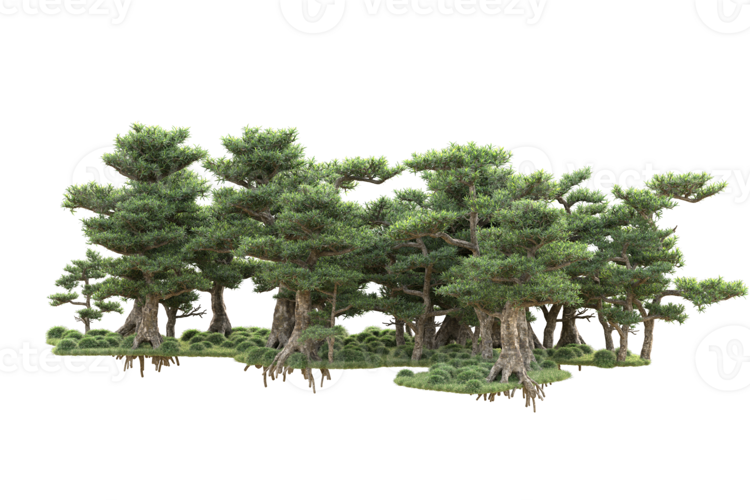 Tropical forest isolated on transparent background. 3d rendering - illustration png