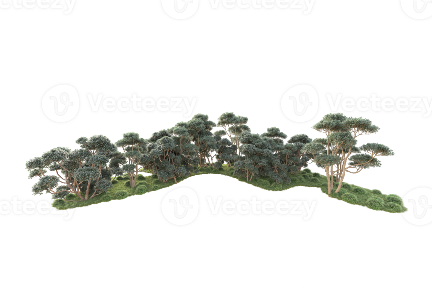 Tropical forest isolated on transparent background. 3d rendering - illustration png