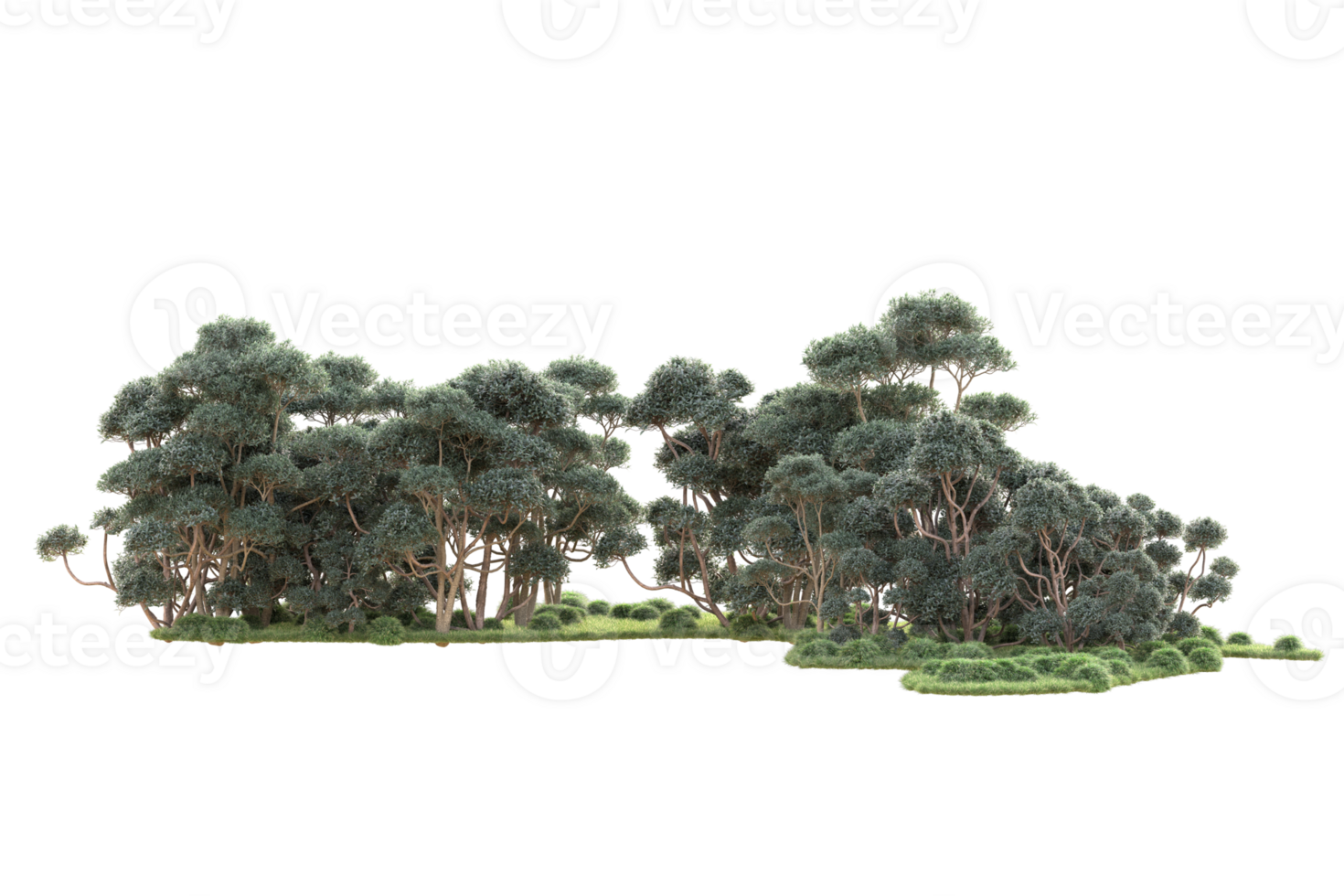 Tropical forest isolated on transparent background. 3d rendering - illustration png