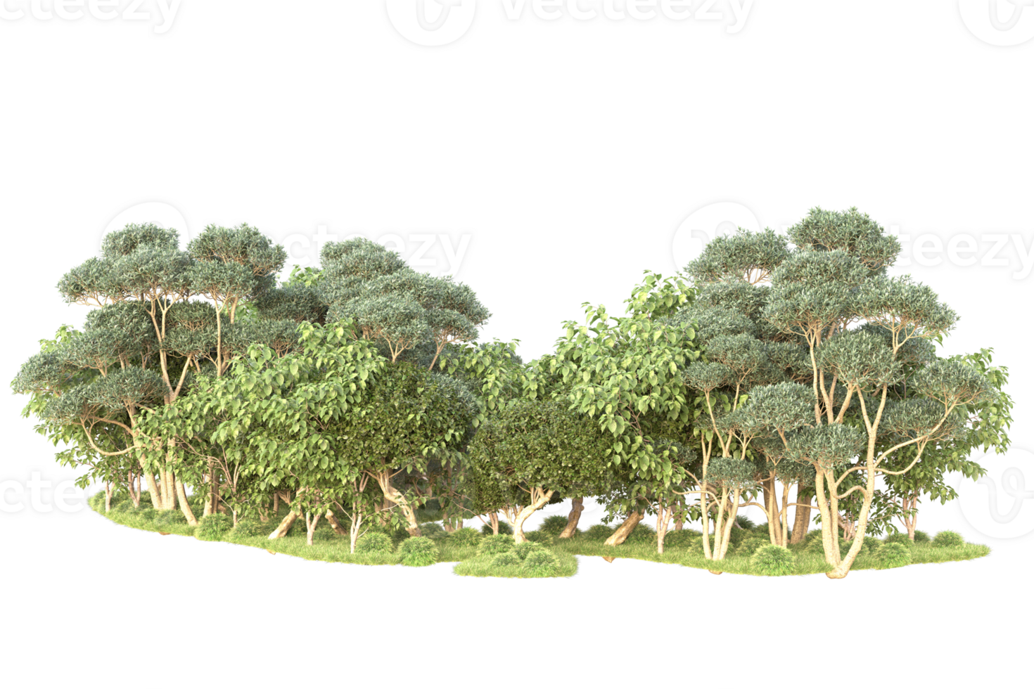 Tropical forest isolated on transparent background. 3d rendering - illustration png