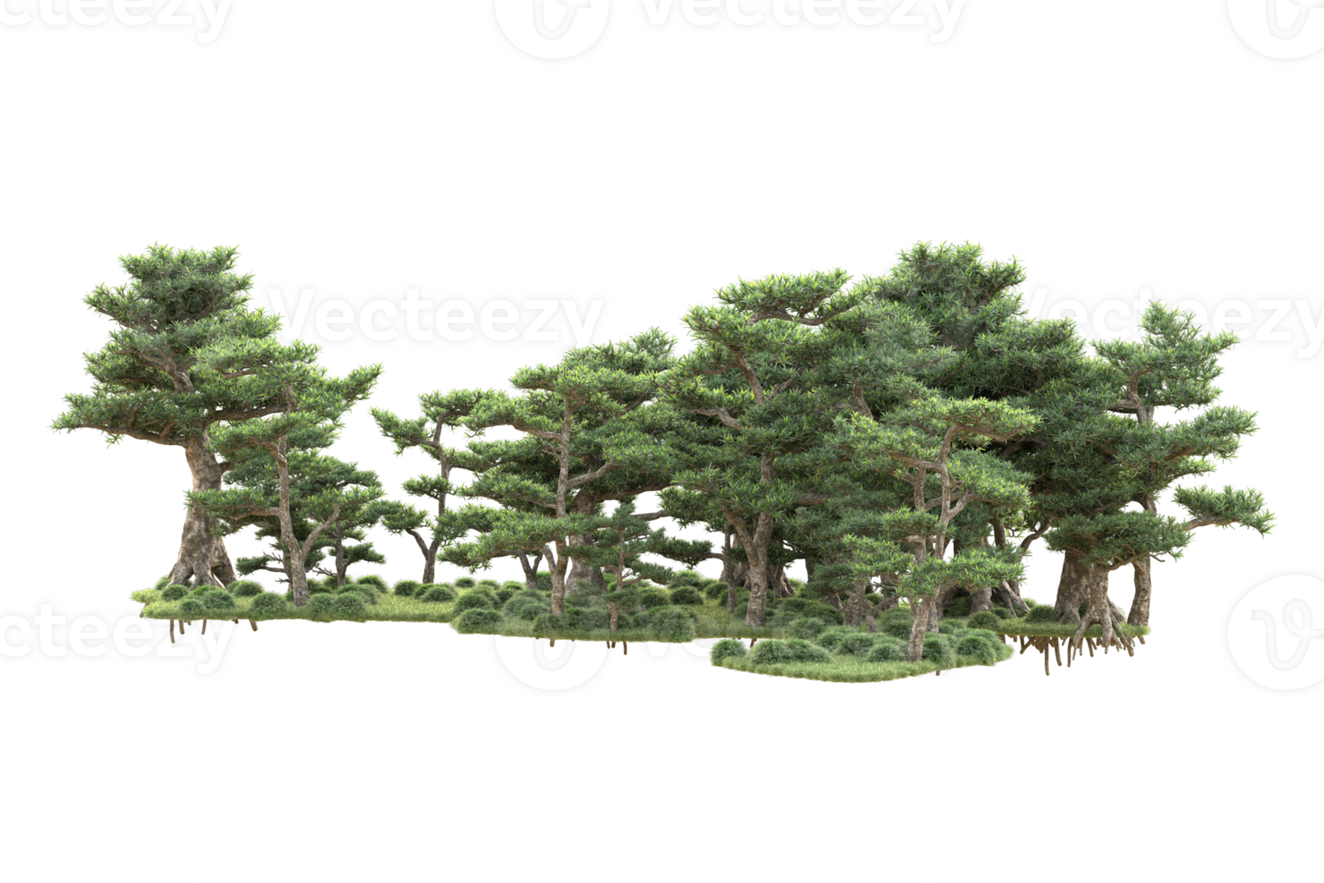 Tropical forest isolated on transparent background. 3d rendering - illustration png
