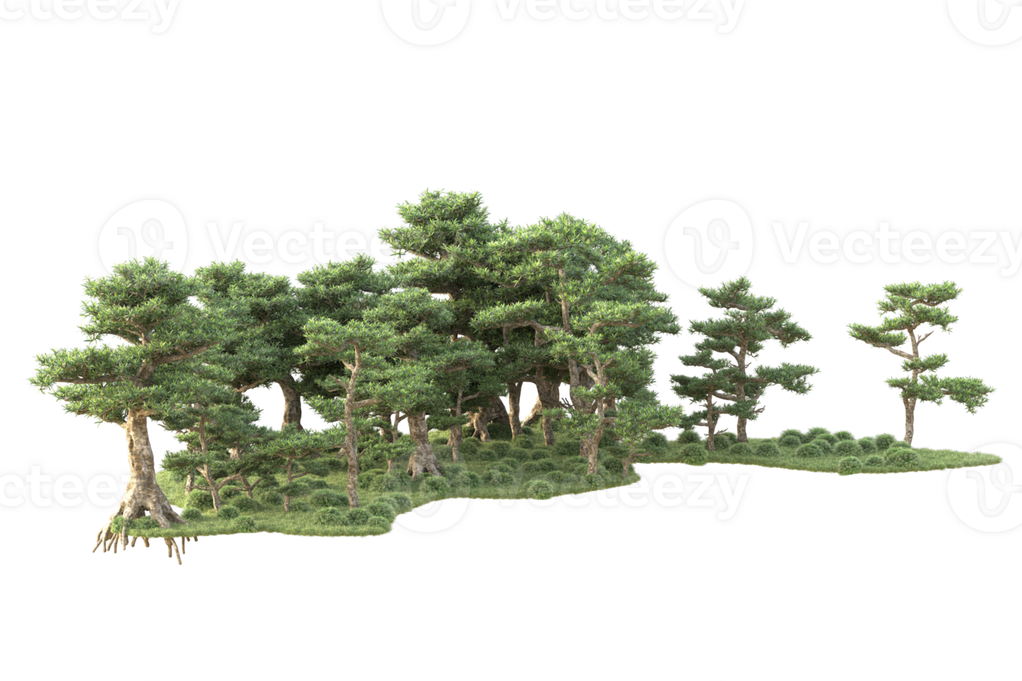 Tropical forest isolated on transparent background. 3d rendering - illustration png