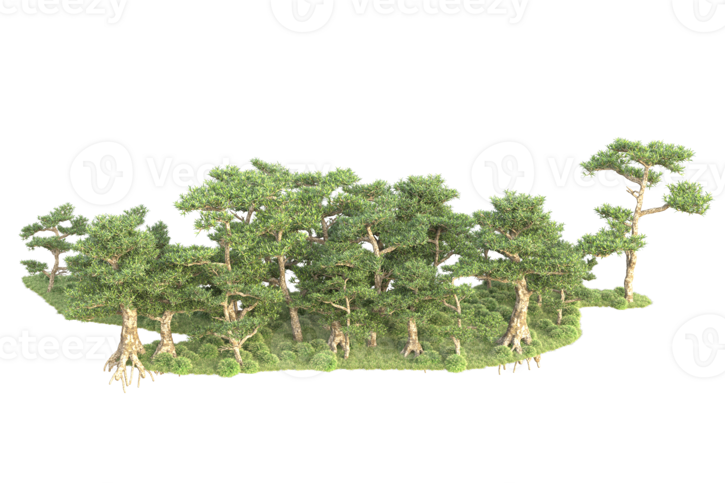 Tropical forest isolated on transparent background. 3d rendering - illustration png