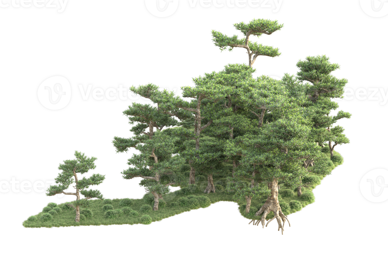 Tropical forest isolated on transparent background. 3d rendering - illustration png