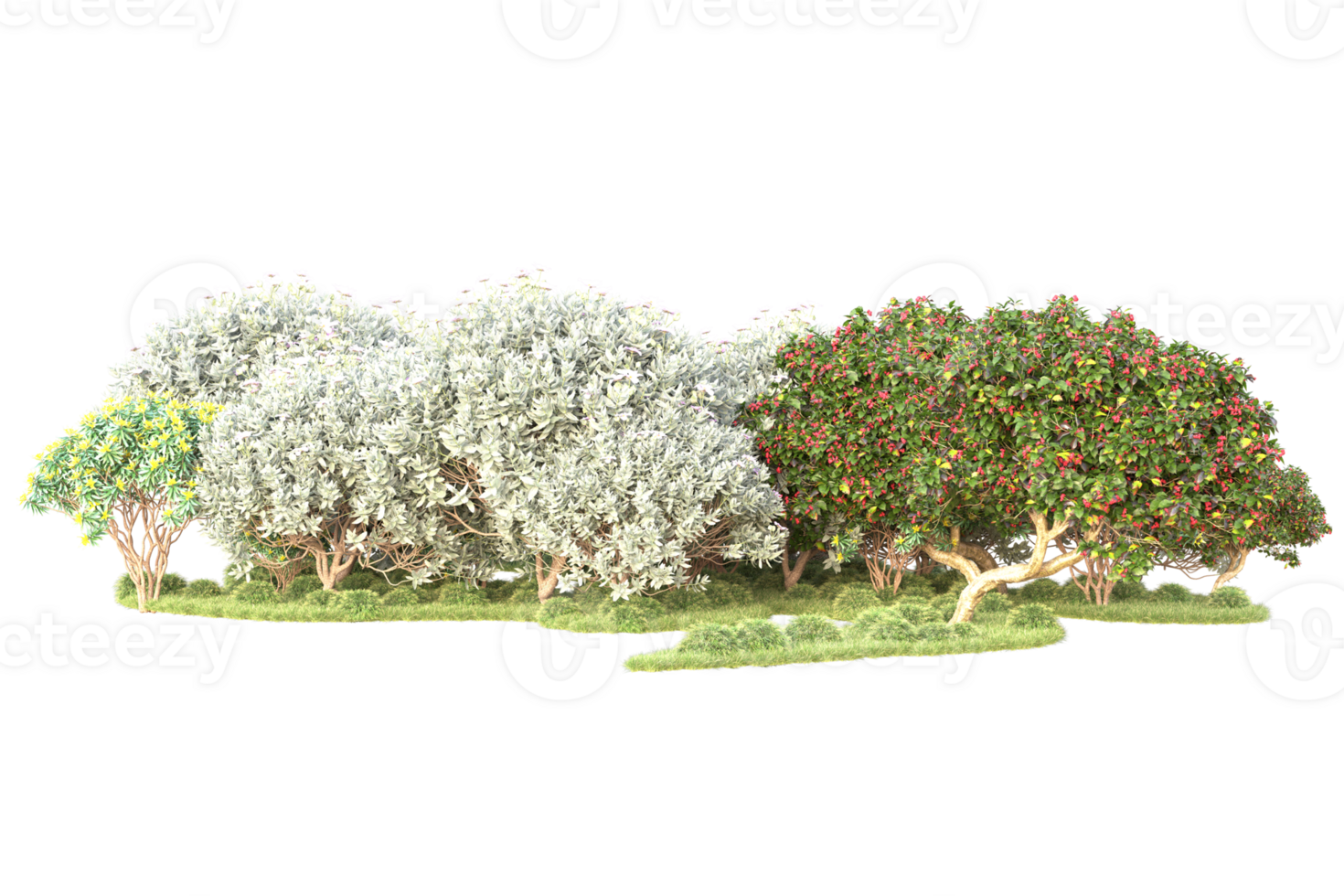 Tropical forest isolated on transparent background. 3d rendering - illustration png