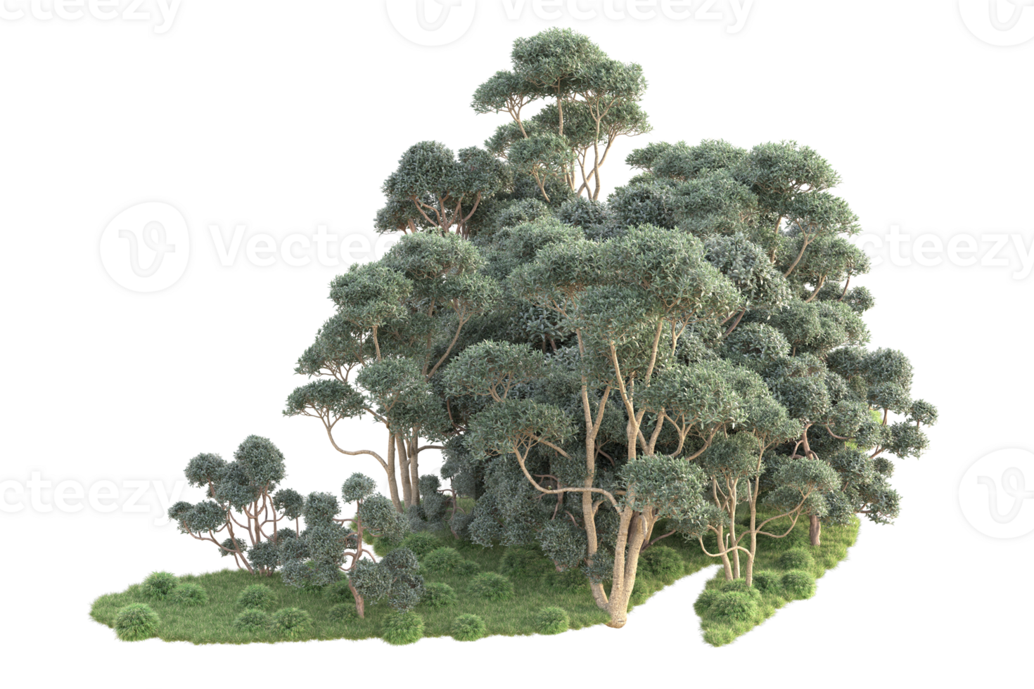 Tropical forest isolated on transparent background. 3d rendering - illustration png