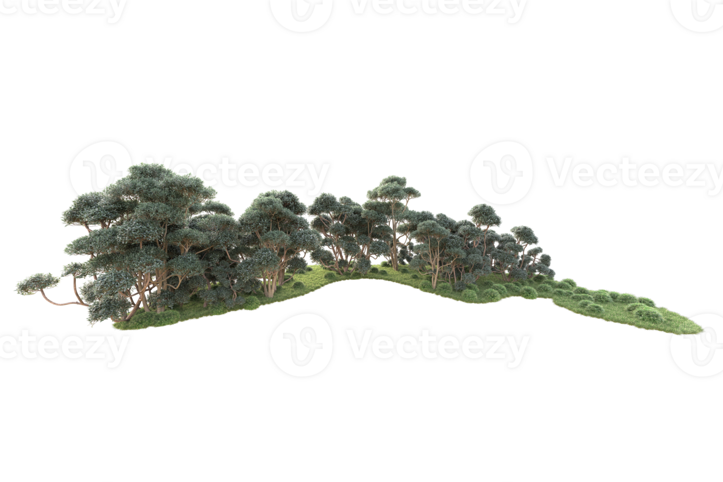 Tropical forest isolated on transparent background. 3d rendering - illustration png