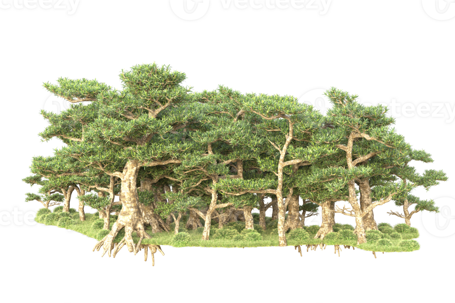 Tropical forest isolated on transparent background. 3d rendering - illustration png